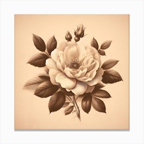 Rose On A Beige Background Canvas Print