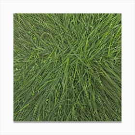 Grass Background 20 Canvas Print