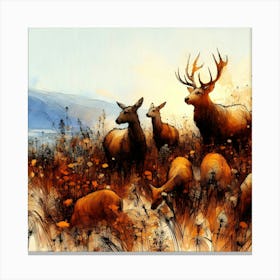 Elk In The Meadow Canvas Print