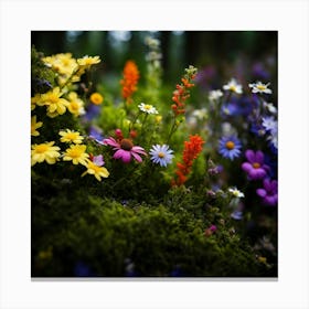 Wildflowers Canvas Print