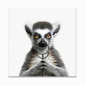 Lemur With Ring Canvas Print