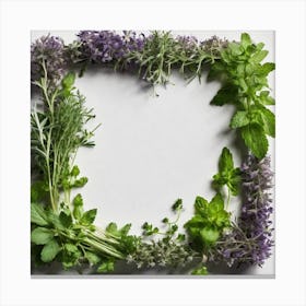 Frame Created From Herbs On Edges And Nothing In Middle (4) Canvas Print