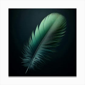 Feather On Black Background 1 Canvas Print