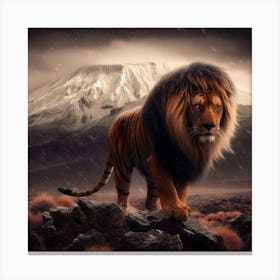 Lion In The Snow Canvas Print