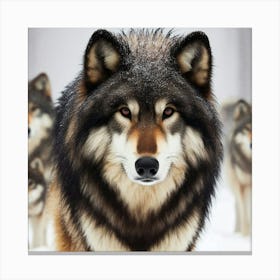 Luno the wolf 3 Canvas Print