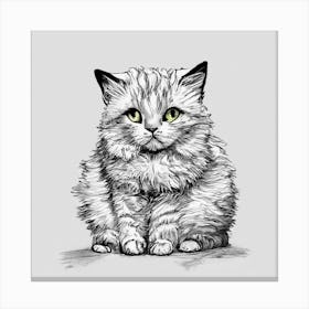 British Shorthair Kitten Canvas Print