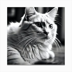 Black And White Cat 30 Canvas Print