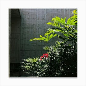 Nature Petiole Art Sunshine Black Up High Overlay Concrete Shadowy Floral Light Natural (11) Canvas Print