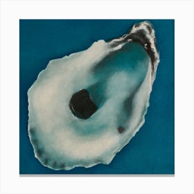 Oyster Shell 1 Canvas Print