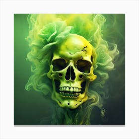 Skull With Smoke Rose Canvas Print