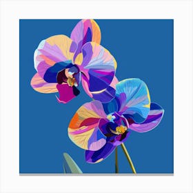 Two Orchids Canvas Print