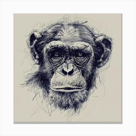 Chimpanzee Canvas Print