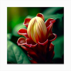 Flower 3 Canvas Print