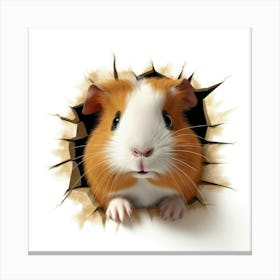 Guinea Pig 24 Canvas Print