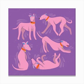 Purple and Pink Sighthound Whippet Greyhound Dogs Canvas Print