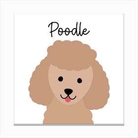 Poodle Canvas Print