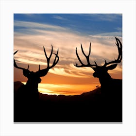 Silhouette Of Deer At Sunset Canvas Print