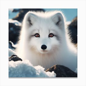 Arctic Fox 3 Canvas Print
