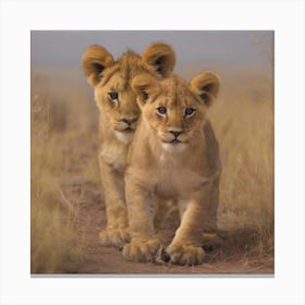 Two Lions cub in the savannah Canvas Print