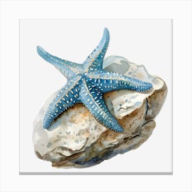 Starfish On Rock Canvas Print