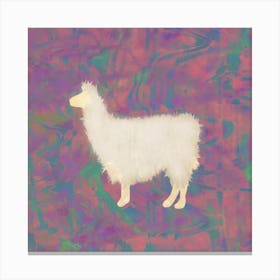 llama llama Canvas Print