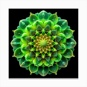 Green Plant Mandala With Water Droplets Canvas Print