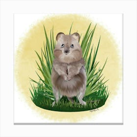 Pika Canvas Print