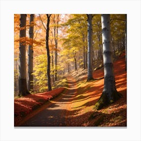 Autumn Path Canvas Print