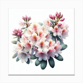 Flowers of Rhododendron Canvas Print