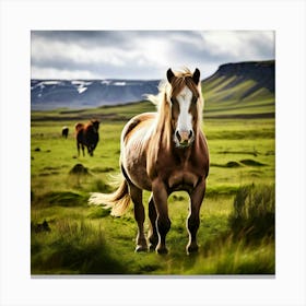 Grass Horse Rural Farm Nature Field Mammal Fast Horse Natural Animal Meadow Mane Friends (1) Canvas Print