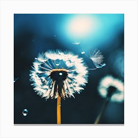 Floating White Dandelion Seeds and Water Droplets against Blue Canvas Print
