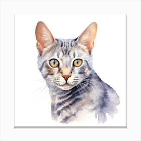 Egyptian Mau Cat Portrait Canvas Print