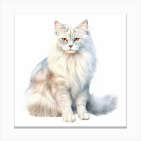 Burmilla Longhair Cat Portrait 1 Canvas Print