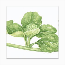 Kale Leaf Macro Canvas Print