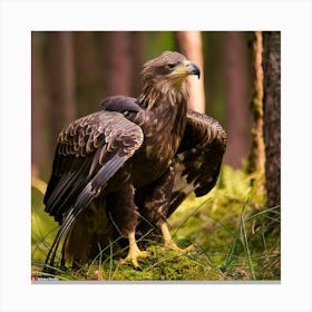 Golden Eagle Canvas Print