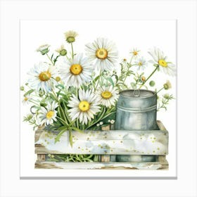 Daisies In A Crate 1 Canvas Print