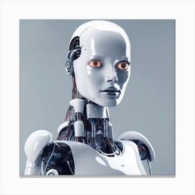Robot Woman 3 Canvas Print