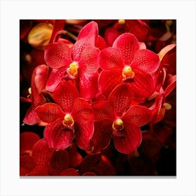 Firefly Vibrant Explosion Of Red Orchids In Full Bloom 23429 Canvas Print