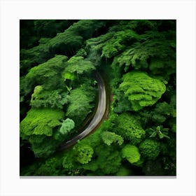 Aerial View Of A Tropical Forest Canvas Print