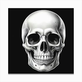 Skull On Black Background Canvas Print