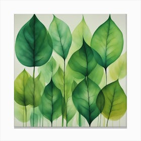 Green Leaves 4 Canvas Print