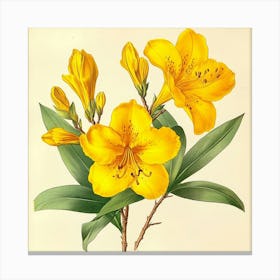 Yellow Lily Art Canvas Print