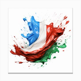Flag Of France Canvas Print