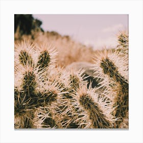 Spikey Cactus Square Canvas Print