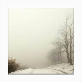 Road In The Fog Toile