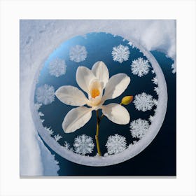 Flowers In The Snow 1 Canvas Print