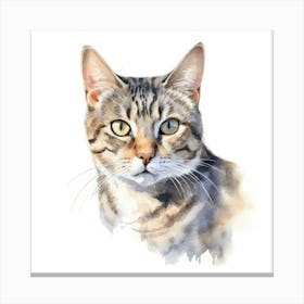 American Wirehair Shorthair Cat Portrait 3 1 Canvas Print