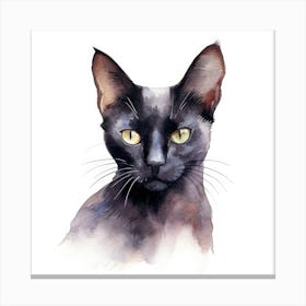 Bombay Sable Cat Portrait 3 Canvas Print