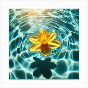 Daffodil In Water Canvas Print