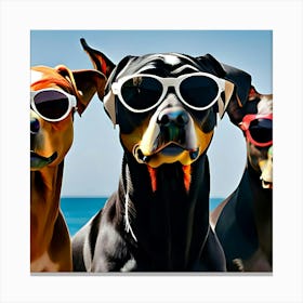 Dobermans In Sunglasses 1 Canvas Print